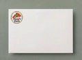 Custom printed 6 x 9 booklet envelope for catalogs and mailings, Atlantic Envelope